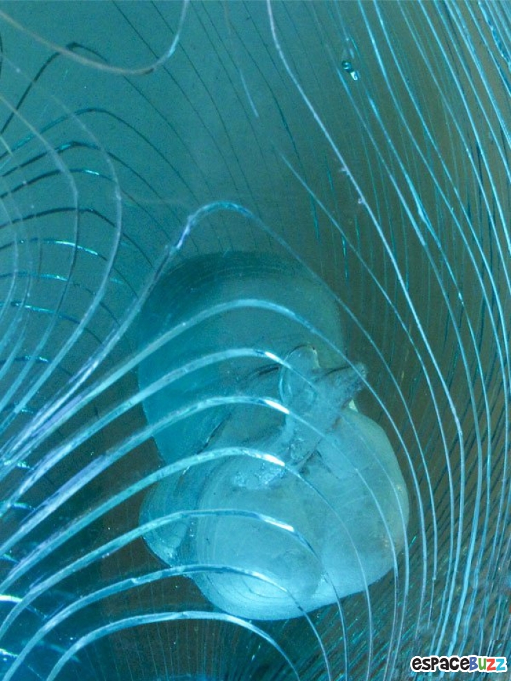 Illustration de l'article : Ben Young travaille le verre avec talent pour donner naissance à de somptueuses œuvres d’art