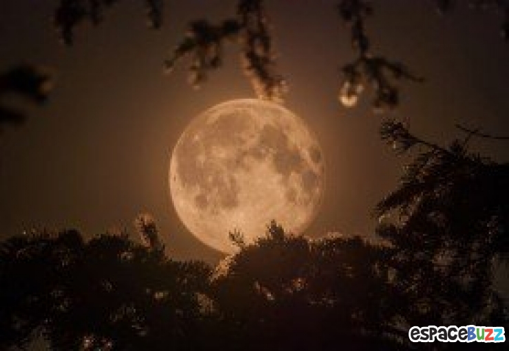 Illustration de l'article : 10 photos d’une incomparable beauté lunaire