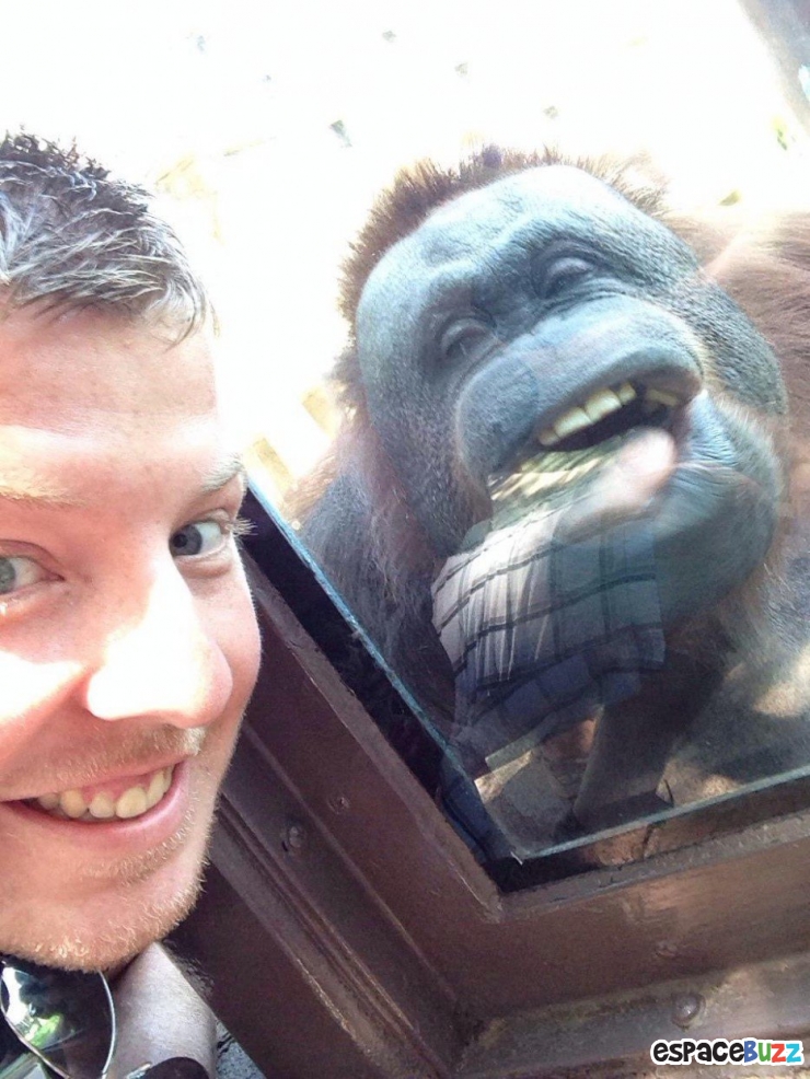 Illustration de l'article : 15 photos d’animaux de zoo qui interagissent avec leurs visiteurs