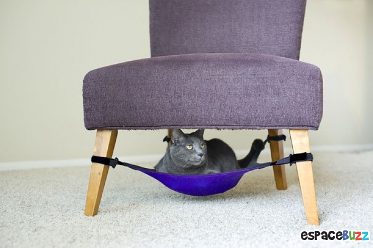 Illustration de l'article : Top 8 des objets les plus pratiques à ne pas rater!