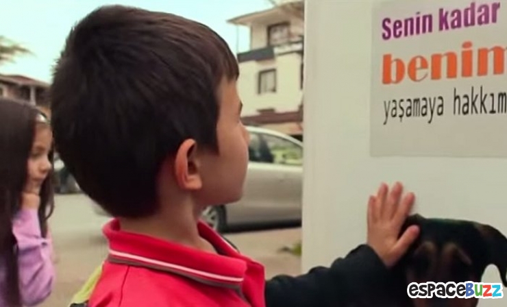 Illustration de l'article : En Turquie, recycler les bouteilles permet de nourrir les chiens et chats errants