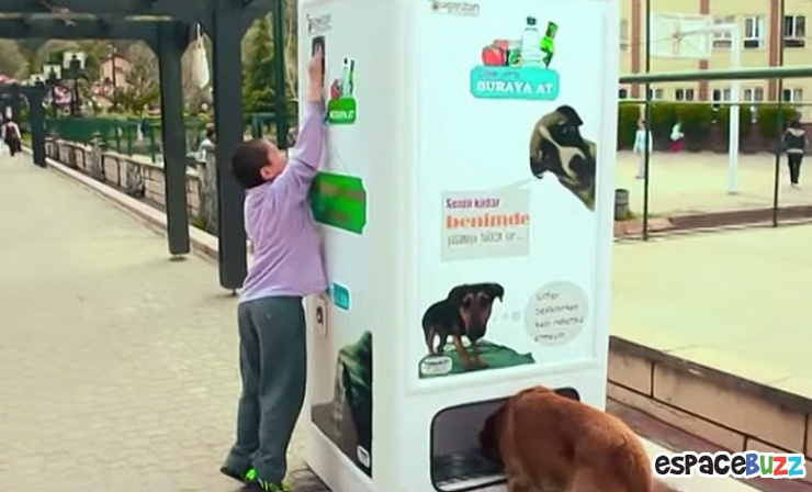 Illustration de l'article : En Turquie, recycler les bouteilles permet de nourrir les chiens et chats errants