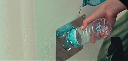 Illustration de l'article : En Turquie, recycler les bouteilles permet de nourrir les chiens et chats errants