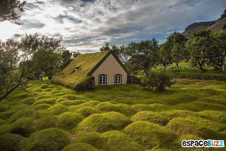 Illustration de l'article : Petit tour en Islande, l'un des plus beaux et des plus impressionnants pays du monde.