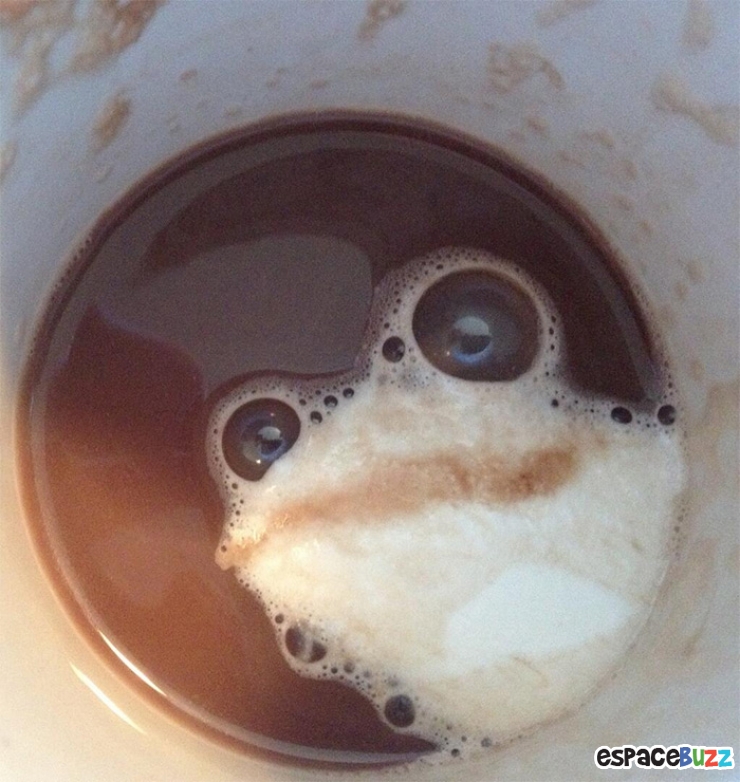 Illustration de l'article : Top des 15 objets du quotidien qui donnent l'impression d'avoir un visage hors du commun!