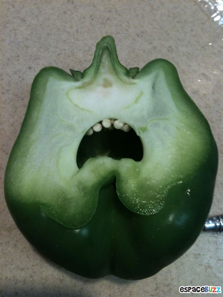 Illustration de l'article : Top des 15 objets du quotidien qui donnent l'impression d'avoir un visage hors du commun!