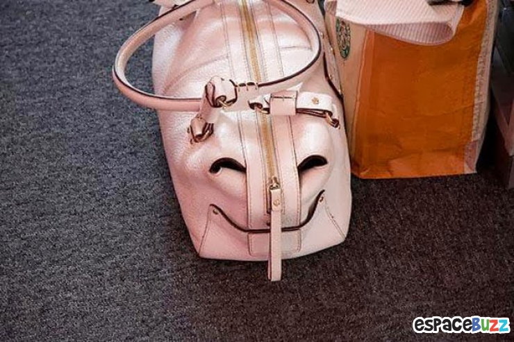 Illustration de l'article : Top des 15 objets du quotidien qui donnent l'impression d'avoir un visage hors du commun!