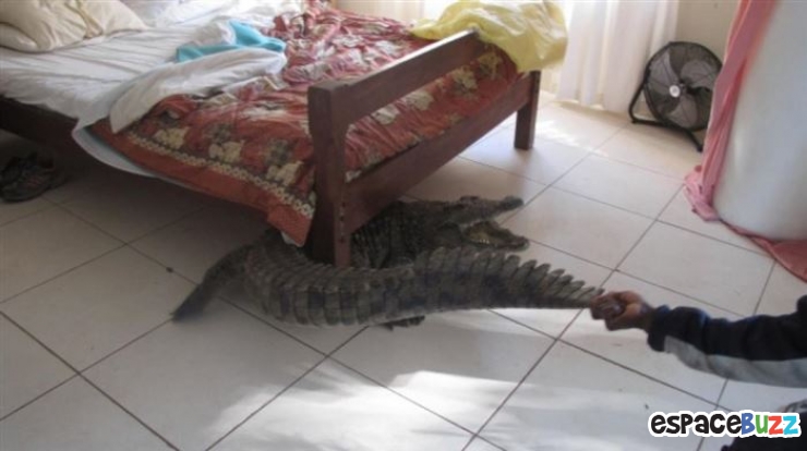 Illustration de l'article : Top 10 des photos qui tombent &agrave; pic 