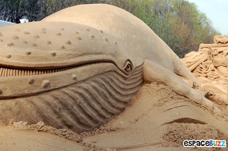 Illustration de l'article : Les 51 Sculptures sur Sable les plus impressionnantes au monde!