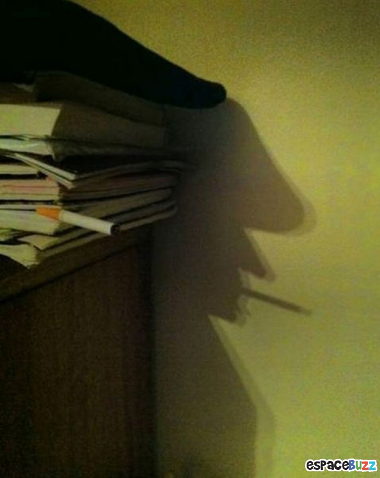 Illustration de l'article : Top 10 des photos d&rsquo;ombres compl&egrave;tement diff&eacute;rentes de la r&eacute;alit&eacute;