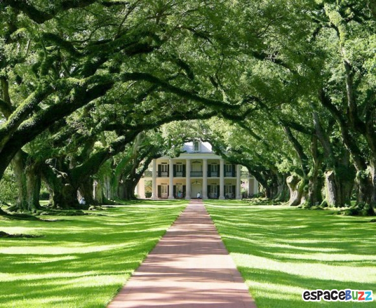 Illustration de l'article : 10 somptueux tunnels b&acirc;tis par Dame Nature