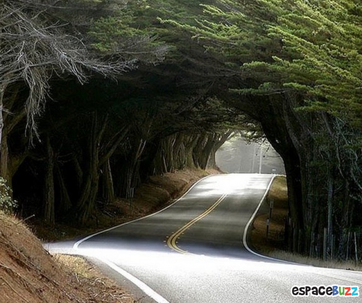 Illustration de l'article : 10 somptueux tunnels b&acirc;tis par Dame Nature