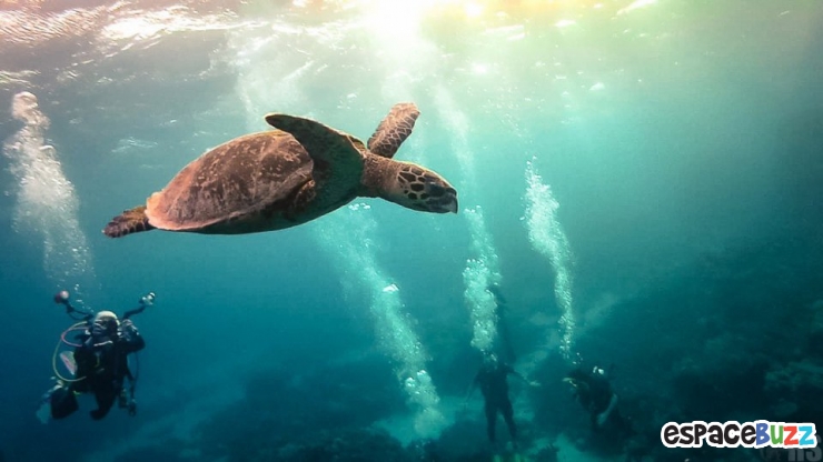 Illustration de l'article : 12 photos qui semblent avoir &eacute;t&eacute; photoshop&eacute;es, mais qui sont pourtant authentiques