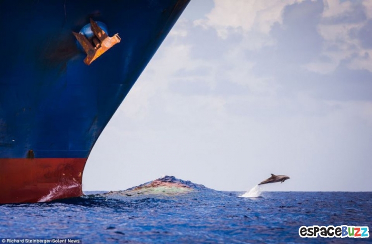 Illustration de l'article : 12 photos qui semblent avoir &eacute;t&eacute; photoshop&eacute;es, mais qui sont pourtant authentiques