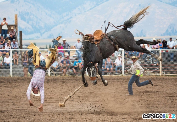 Illustration de l'article : 12 photos qui semblent avoir &eacute;t&eacute; photoshop&eacute;es, mais qui sont pourtant authentiques