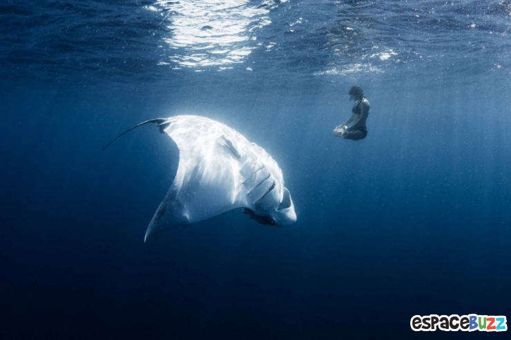 Illustration de l'article : 12 photos qui semblent avoir &eacute;t&eacute; photoshop&eacute;es, mais qui sont pourtant authentiques