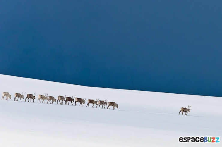 Illustration de l'article : 12 photos qui semblent avoir &eacute;t&eacute; photoshop&eacute;es, mais qui sont pourtant authentiques