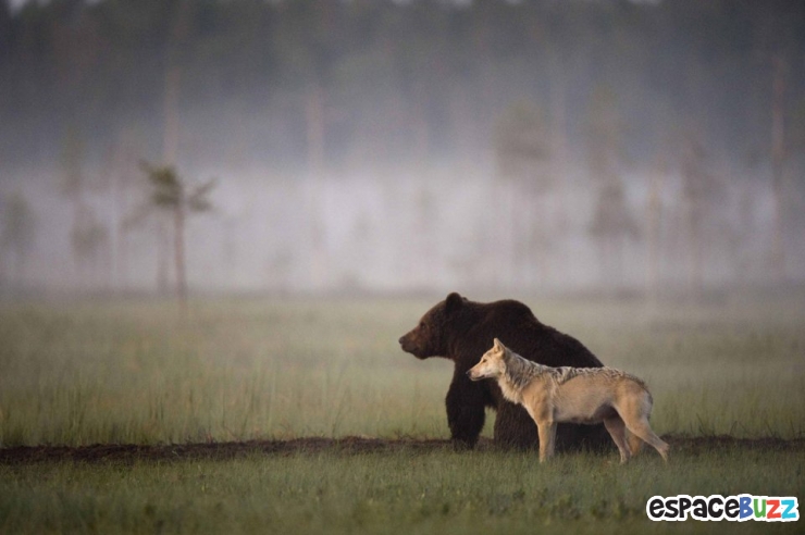 Illustration de l'article : 12 photos qui semblent avoir &eacute;t&eacute; photoshop&eacute;es, mais qui sont pourtant authentiques