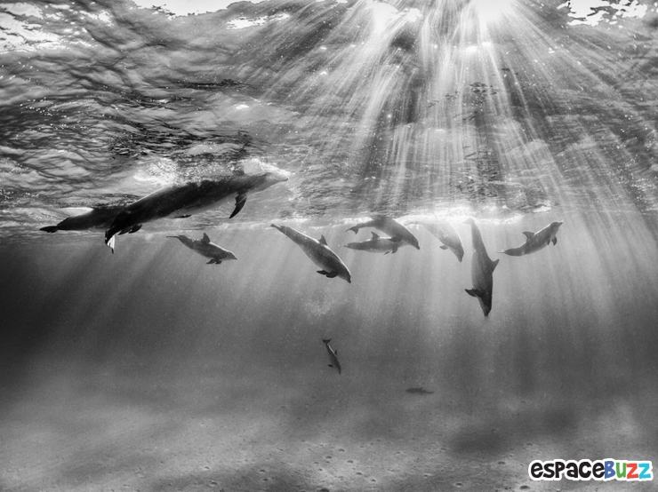 Illustration de l'article : 12 photos qui semblent avoir &eacute;t&eacute; photoshop&eacute;es, mais qui sont pourtant authentiques