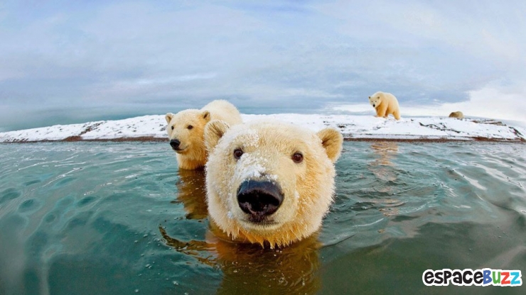 Illustration de l'article : 12 photos qui semblent avoir &eacute;t&eacute; photoshop&eacute;es, mais qui sont pourtant authentiques