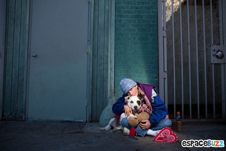 Illustration de l'article : Quand l'amitité entre Sdf et Animaux est immortalisée par 10 photos magnifiques...