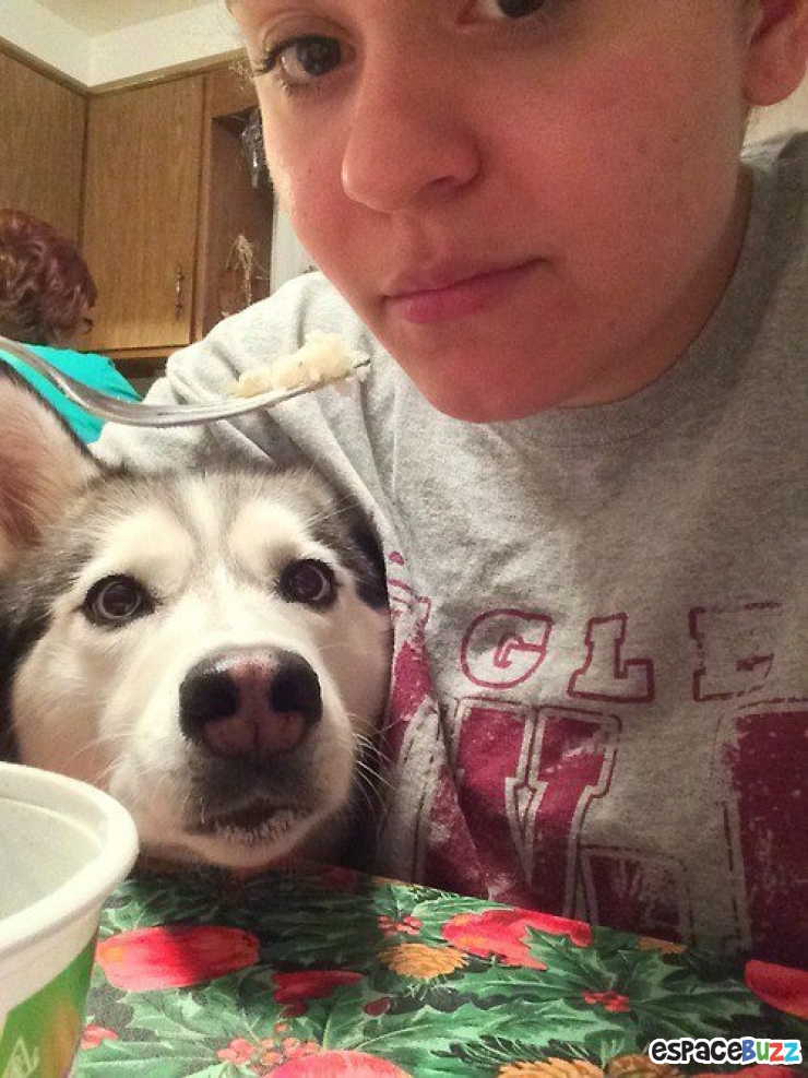 Illustration de l'article : 14 photos de chiens qui vous feront craquer