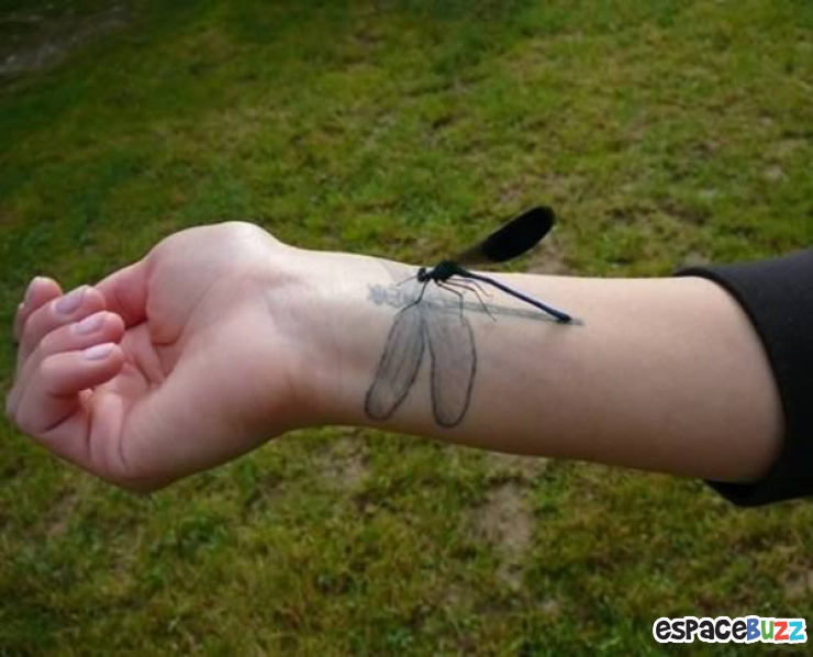 Illustration de l'article : 12 photographies d'animaux prises au meilleur moment possible