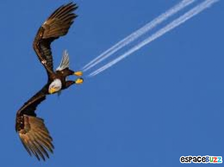 Illustration de l'article : 12 photographies d'animaux prises au meilleur moment possible