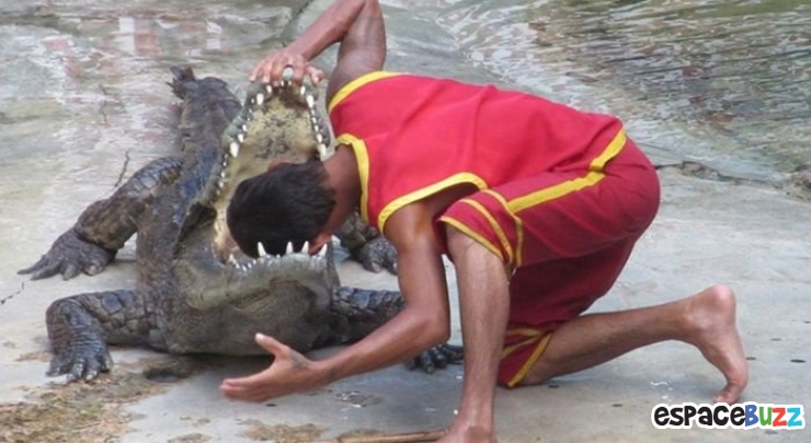 Illustration de l'article : Top 10 des personnes qui d&eacute;fient la mort avec stupidit&eacute; 