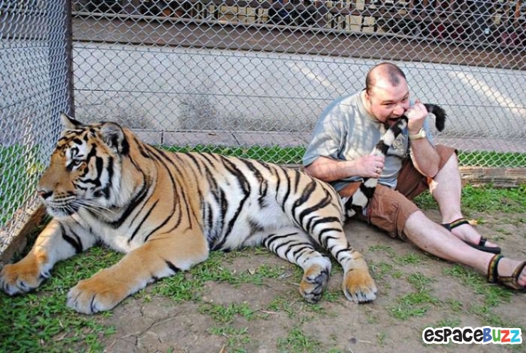 Illustration de l'article : Top 10 des personnes qui d&eacute;fient la mort avec stupidit&eacute; 