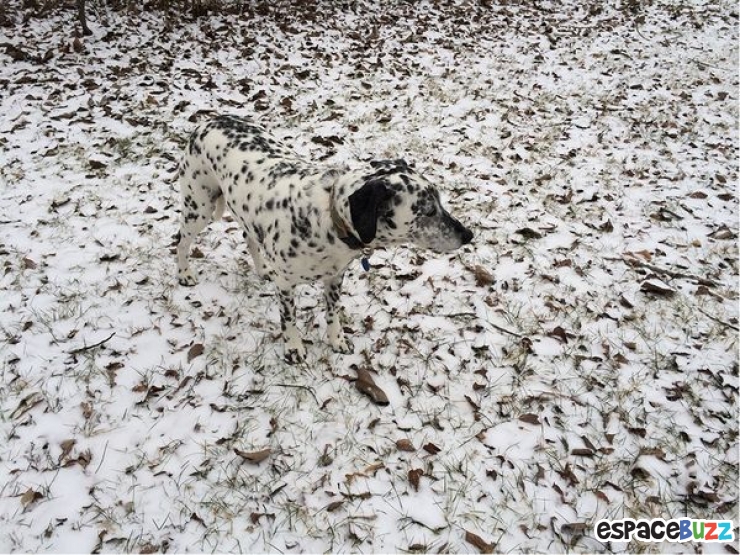 Illustration de l'article : Top 10 des photos prim&eacute;es lors des iPhone Photography Awards 2014