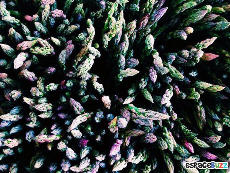 Illustration de l'article : Top 10 des photos prim&eacute;es lors des iPhone Photography Awards 2014