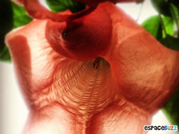 Illustration de l'article : Top 10 des photos prim&eacute;es lors des iPhone Photography Awards 2014