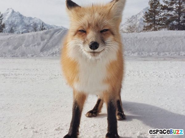 Illustration de l'article : Top 10 des photos prim&eacute;es lors des iPhone Photography Awards 2014