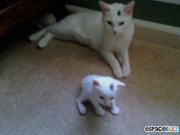 Illustration de l'article : Top 10 des fils qui font pareil que leurs pères