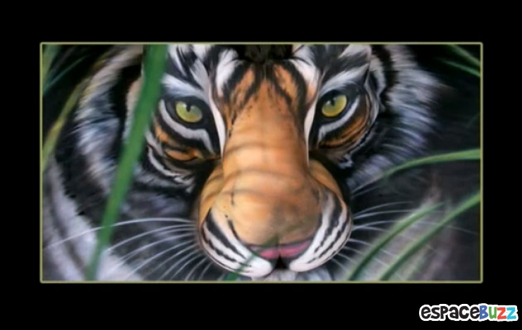 Illustration de l'article : Trouvez l'erreur: Le Tigre!