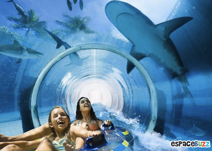 Illustration de l'article : Les 29 piscines d'hôtels les plus belles du monde!