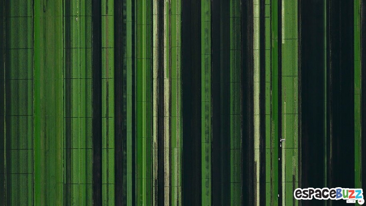 Illustration de l'article : 12 superbes clich&eacute;s de sites photographi&eacute;s par satellite