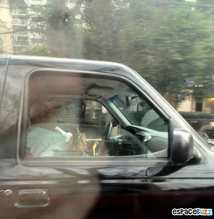 Illustration de l'article : Top 10 des rencontres insolites qu'on peut faire sur la route