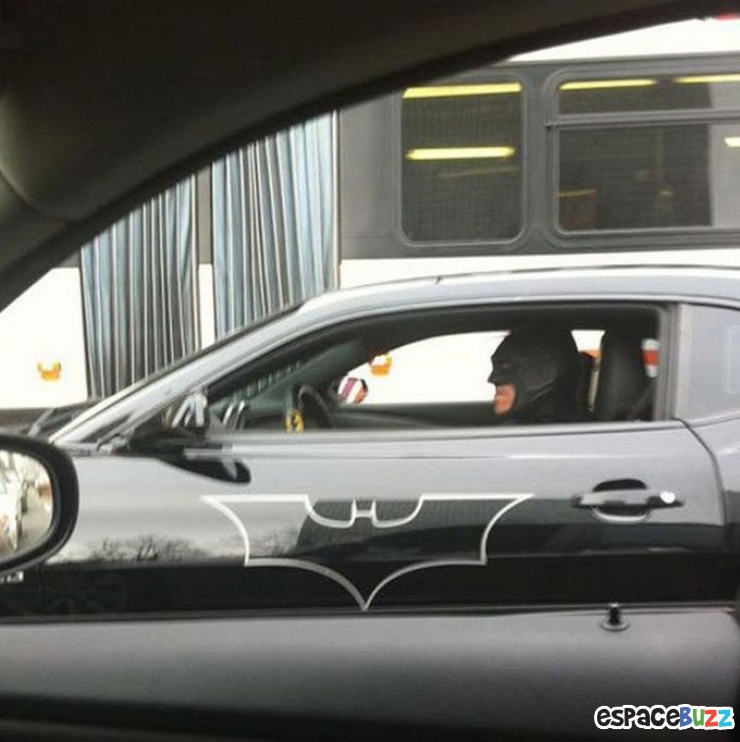 Illustration de l'article : Top 10 des rencontres insolites qu'on peut faire sur la route