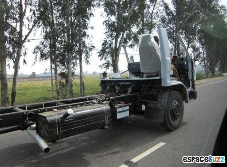 Illustration de l'article : Top 10 des rencontres insolites qu'on peut faire sur la route