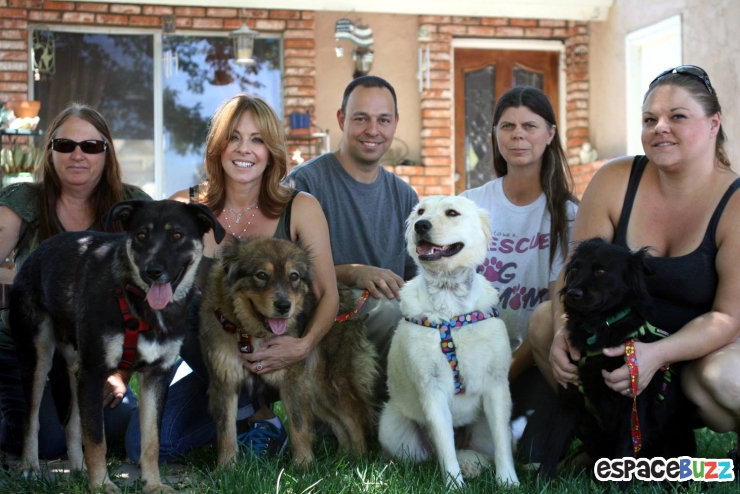 Illustration de l'article : Bouleversant sauvetage d'une famille de chiens abandonn&eacute;e dans le d&eacute;sert!