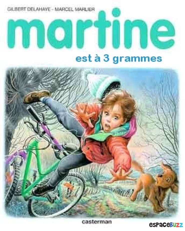 Illustration de l'article : Les 25 Parodies de Martine qui gâchent vos enfances!