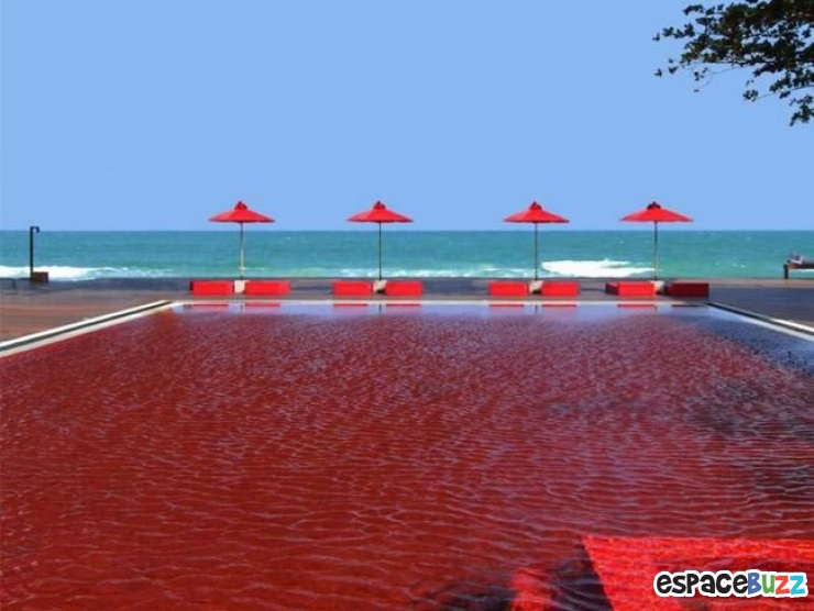 Illustration de l'article : 14 fabuleuses piscines auxquelles il vous sera difficile de résister