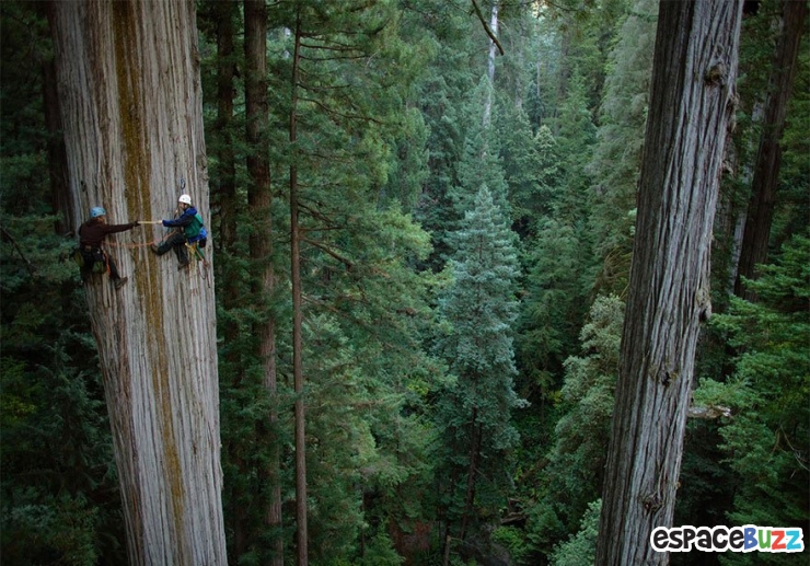 Illustration de l'article : Top 15 des photos les plus vertigineuses