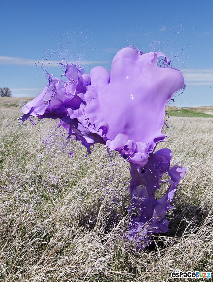 Illustration de l'article : Top 10 des meilleures explosions de liquides colorés en photos
