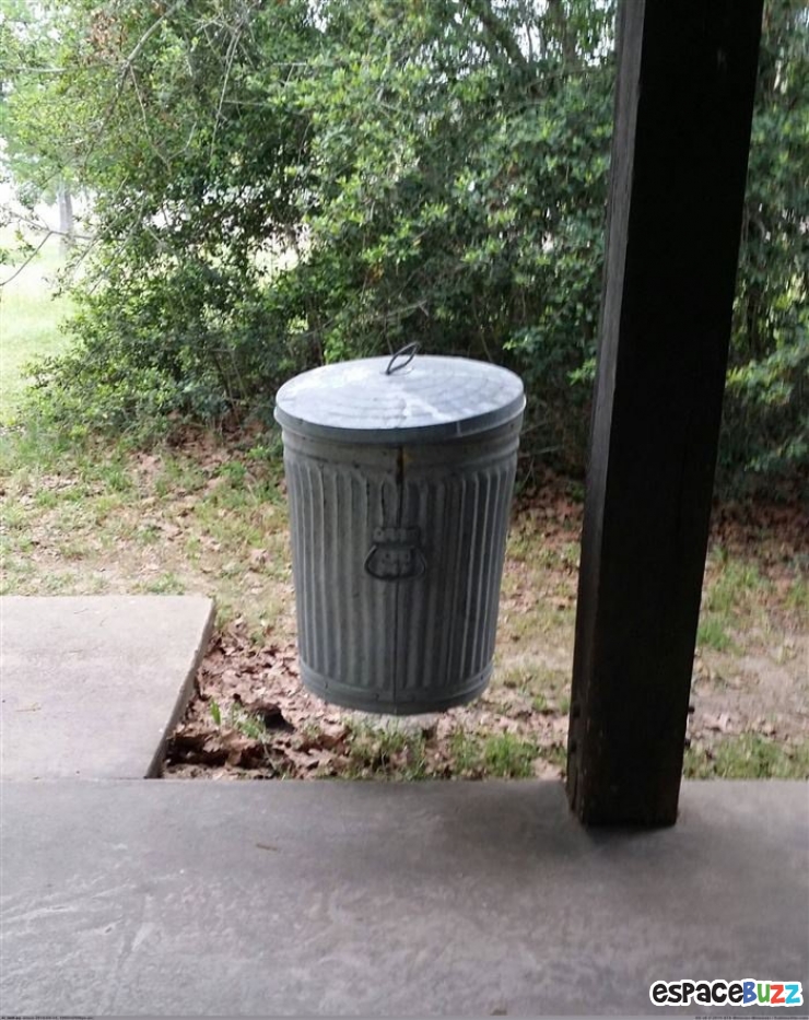 Illustration de l'article : Top 10 des meilleures photos d’illusion optique