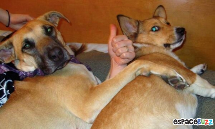 Illustration de l'article : Top 10 des meilleures photos d’illusion optique