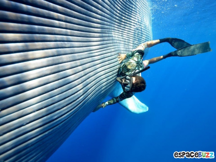 Illustration de l'article : Top 10 des plus belles photos de l’Homme avec le monde sous-marin!