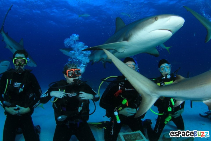 Illustration de l'article : Top 10 des plus belles photos de l’Homme avec le monde sous-marin!